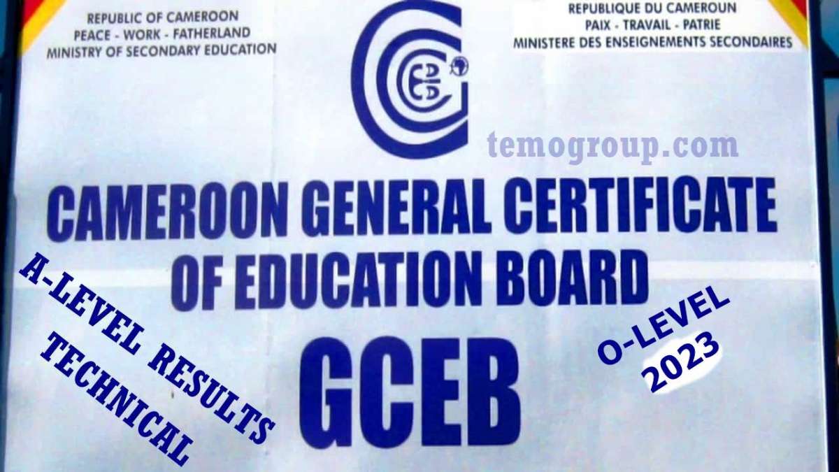 GCE Commercial Intermediate Level/A-Level TVE Technical Results 2023