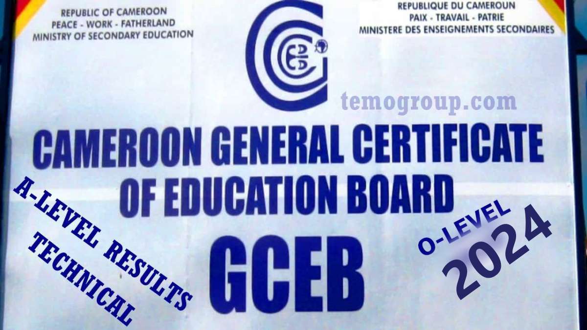 GCE Commercial Intermediate Level/A-Level TVE Technical Results 2024 PDF